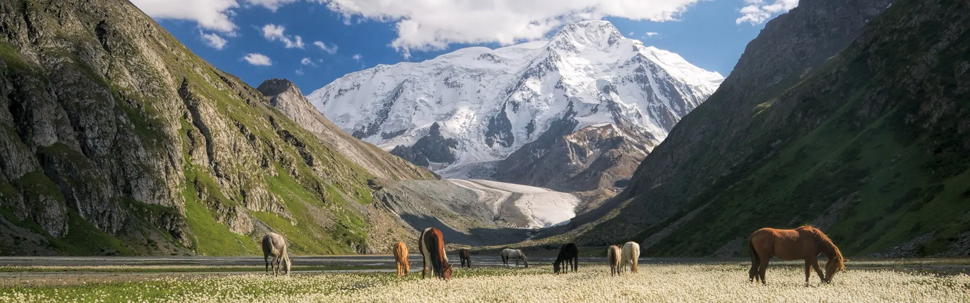 Логотип Kyrgyz'What?
