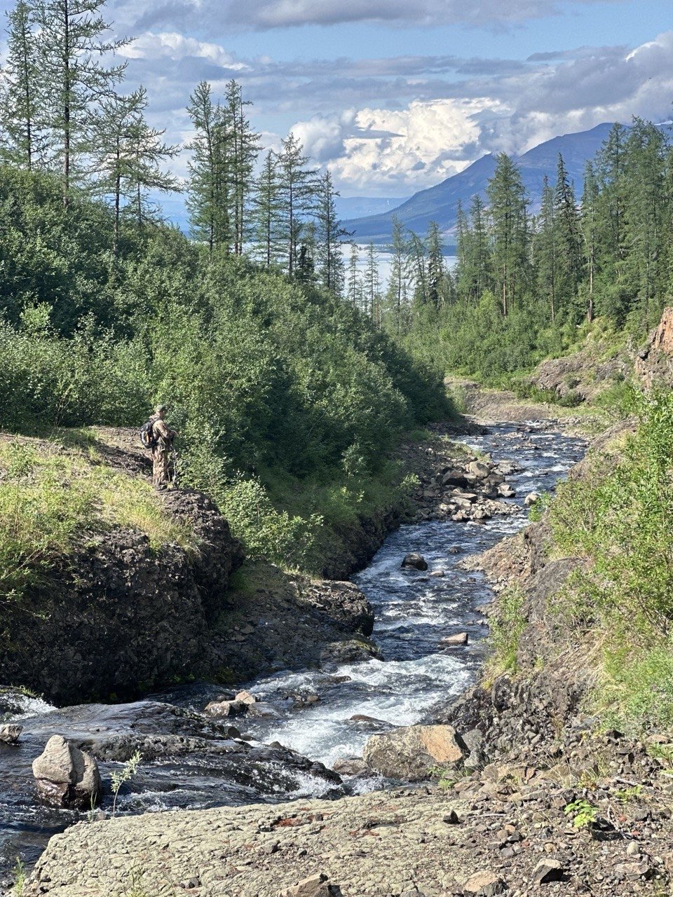 Фото из отзыва 4