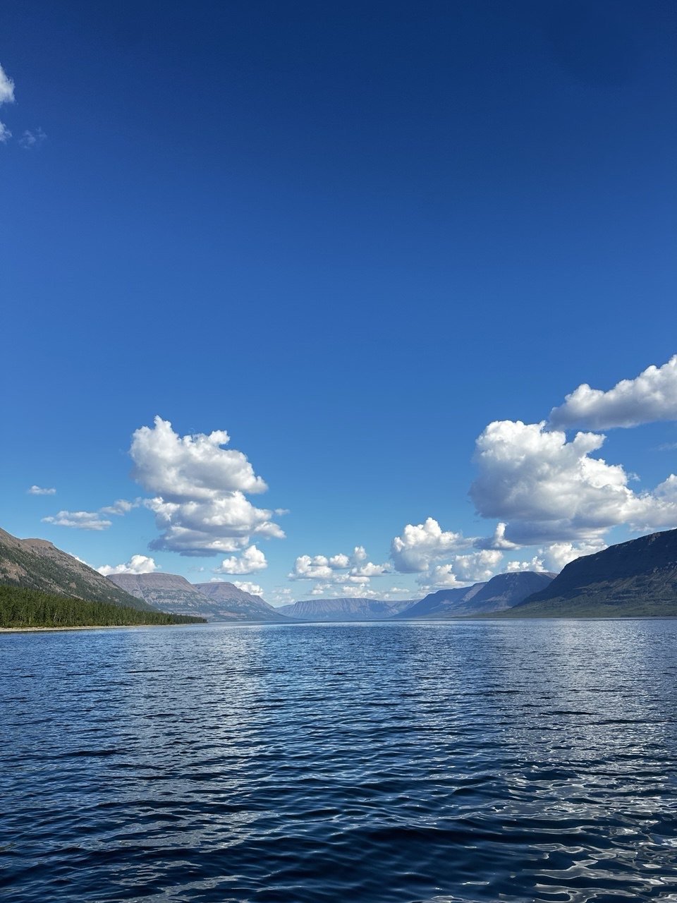 Фото из отзыва 5